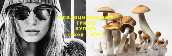 мескалин Белокуриха