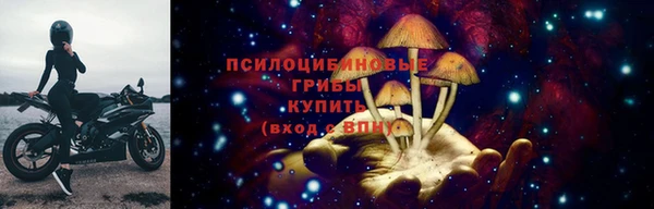 мескалин Белокуриха