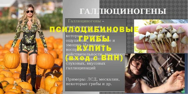 PSILOCYBIN Белоозёрский